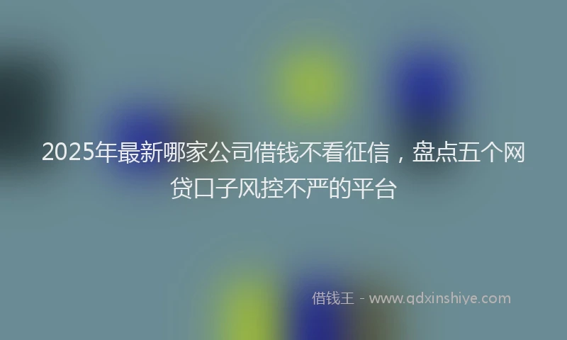 2025年最新哪家公司借钱不看征信，盘点五个网贷口子风控不严的平台