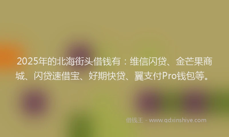 2025年的北海街头借钱有：维信闪贷、金芒果商城、闪贷速借宝、好期快贷、翼支付Pro钱包等。
