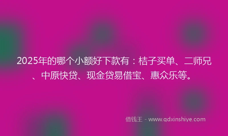 2025年的哪个小额好下款有：桔子买单、二师兄、中原快贷、现金贷易借宝、惠众乐等。