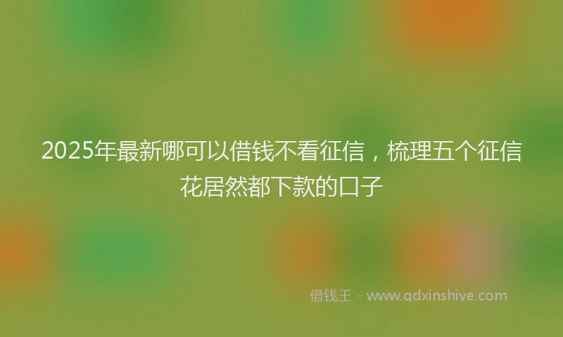 2025年最新哪可以借钱不看征信，梳理五个征信花居然都下款的口子