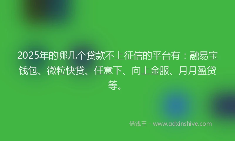 2025年的哪几个贷款不上征信的平台有：融易宝钱包、微粒快贷、任意下、向上金服、月月盈贷等。