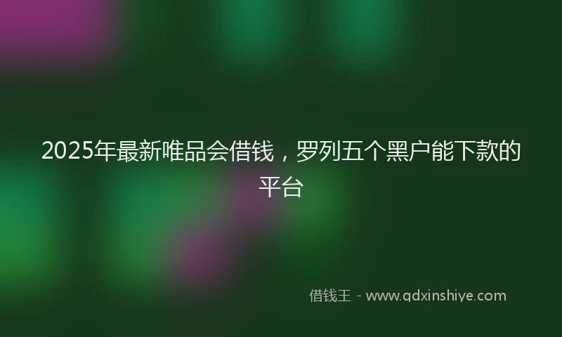 2025年最新唯品会借钱，罗列五个黑户能下款的平台