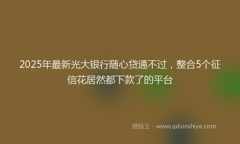 2025年最新光大银行随心贷通不过，整合5个征信花居然都下款了的平台