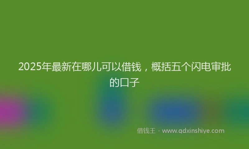 2025年最新在哪儿可以借钱，概括五个闪电审批的口子