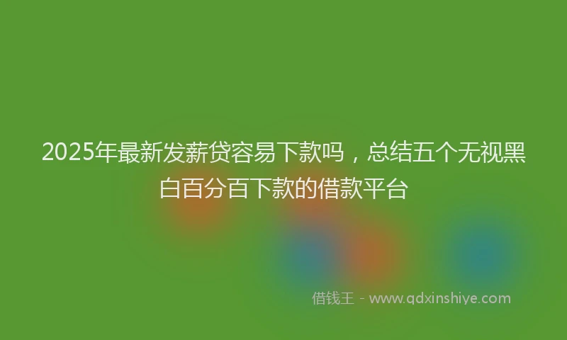 2025年最新发薪贷容易下款吗，总结五个无视黑白百分百下款的借款平台