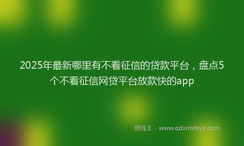 2025年最新哪里有不看征信的贷款平台，盘点5个不看征信网贷平台放款快的app
