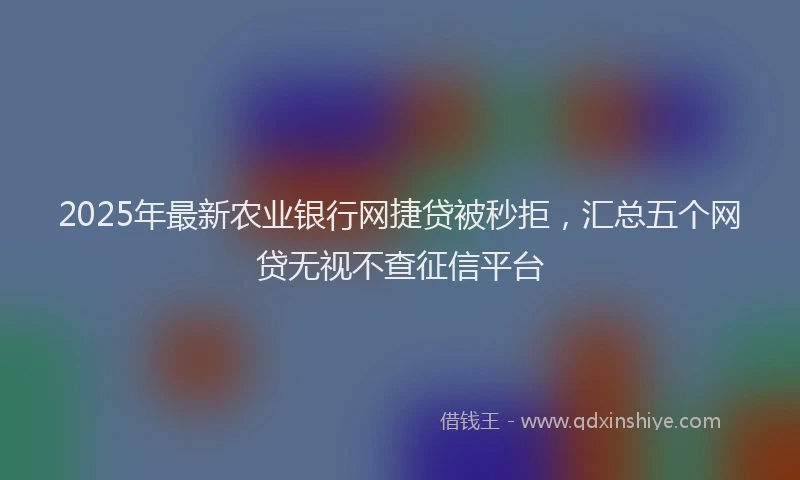 2025年最新农业银行网捷贷被秒拒，汇总五个网贷无视不查征信平台