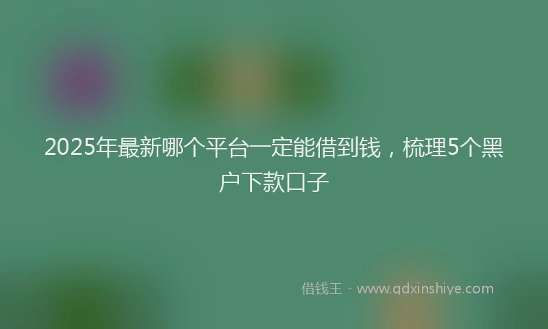 2025年最新哪个平台一定能借到钱，梳理5个黑户下款口子