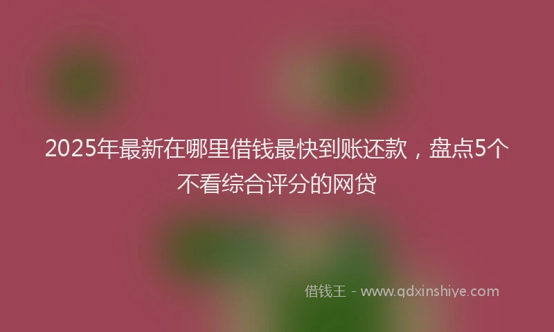 2025年最新在哪里借钱最快到账还款，盘点5个不看综合评分的网贷