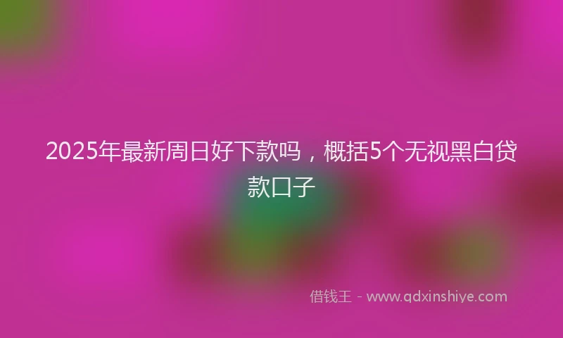 2025年最新周日好下款吗，概括5个无视黑白贷款口子