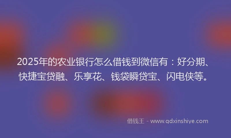 2025年的农业银行怎么借钱到微信有：好分期、快捷宝贷融、乐享花、钱袋瞬贷宝、闪电侠等。