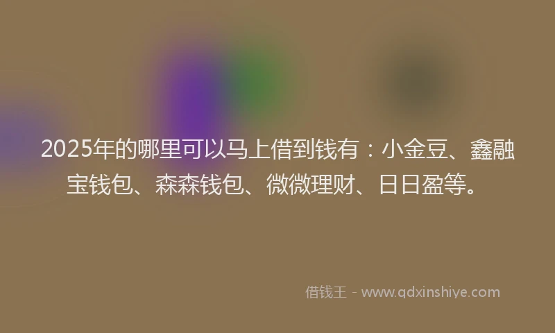 2025年的哪里可以马上借到钱有：小金豆、鑫融宝钱包、森森钱包、微微理财、日日盈等。