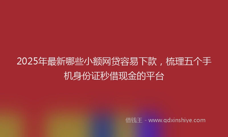 2025年最新哪些小额网贷容易下款，梳理五个手机身份证秒借现金的平台