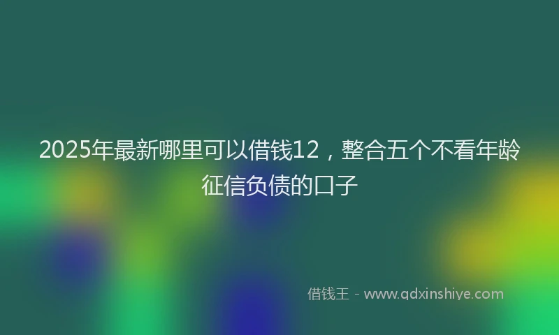 2025年最新哪里可以借钱12，整合五个不看年龄征信负债的口子