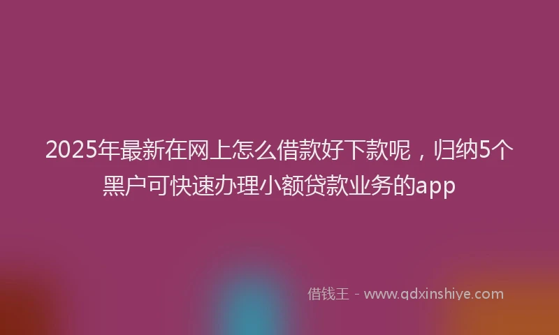 2025年最新在网上怎么借款好下款呢，归纳5个黑户可快速办理小额贷款业务的app