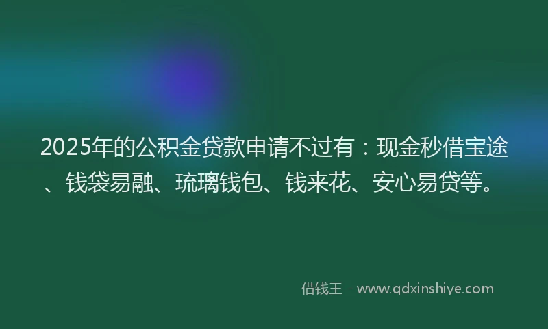 2025年的公积金贷款申请不过有：现金秒借宝途、钱袋易融、琉璃钱包、钱来花、安心易贷等。