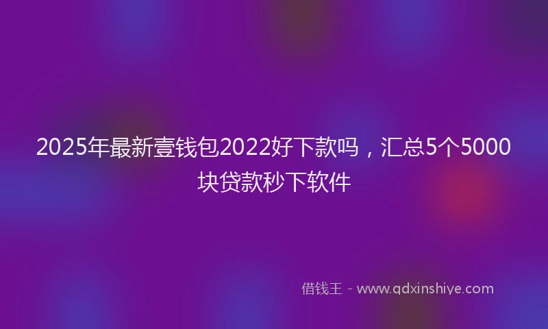 2025年最新壹钱包2022好下款吗，汇总5个5000块贷款秒下软件