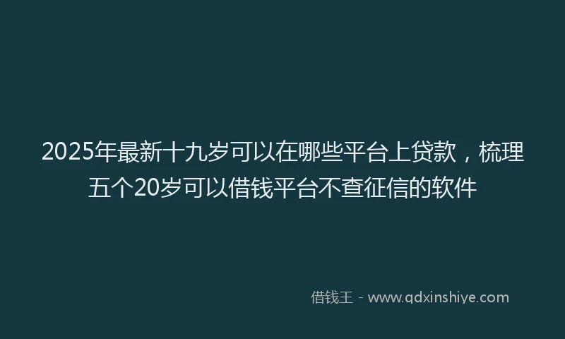 2025年最新十九岁可以在哪些平台上贷款，梳理五个20岁可以借钱平台不查征信的软件