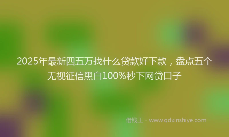 2025年最新四五万找什么贷款好下款，盘点五个无视征信黑白100%秒下网贷口子