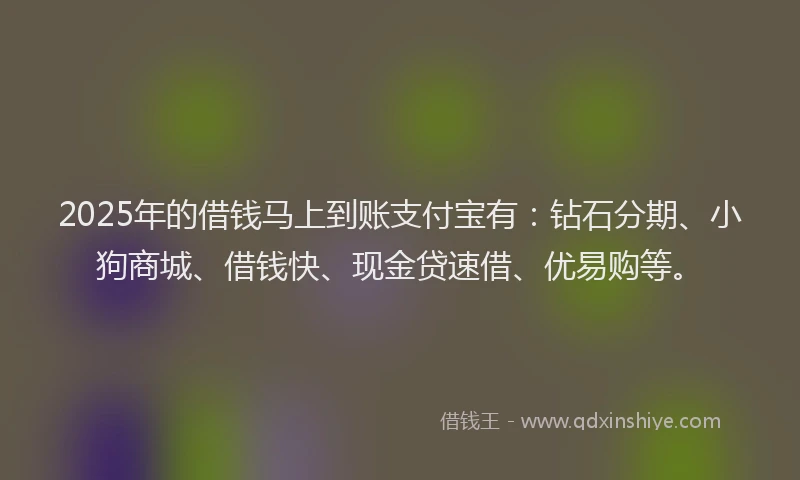 2025年的借钱马上到账支付宝有：钻石分期、小狗商城、借钱快、现金贷速借、优易购等。