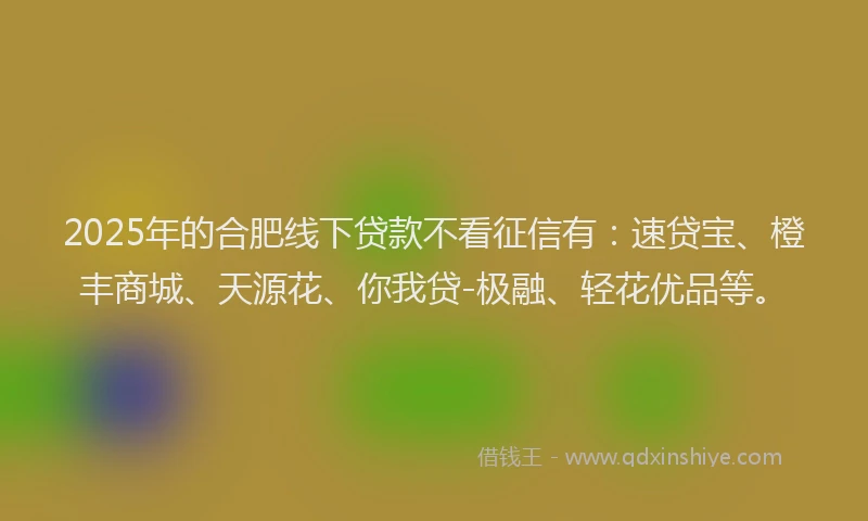 2025年的合肥线下贷款不看征信有：速贷宝、橙丰商城、天源花、你我贷-极融、轻花优品等。