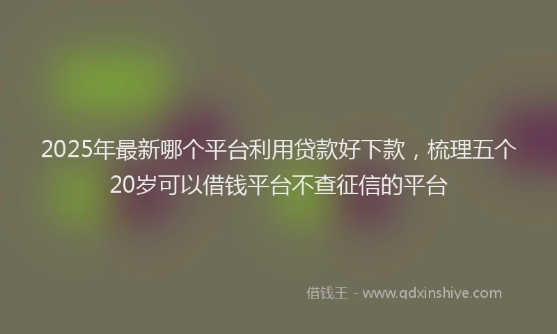 2025年最新哪个平台利用贷款好下款，梳理五个20岁可以借钱平台不查征信的平台