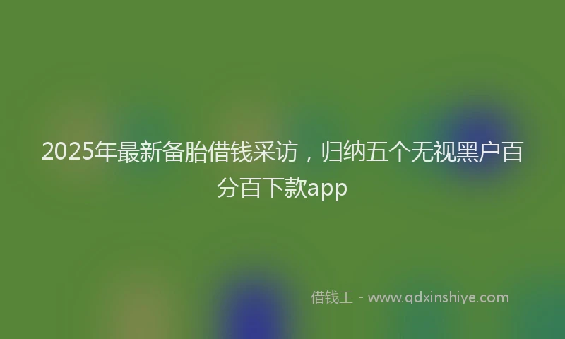 2025年最新备胎借钱采访，归纳五个无视黑户百分百下款app