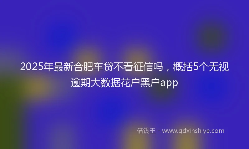 2025年最新合肥车贷不看征信吗，概括5个无视逾期大数据花户黑户app