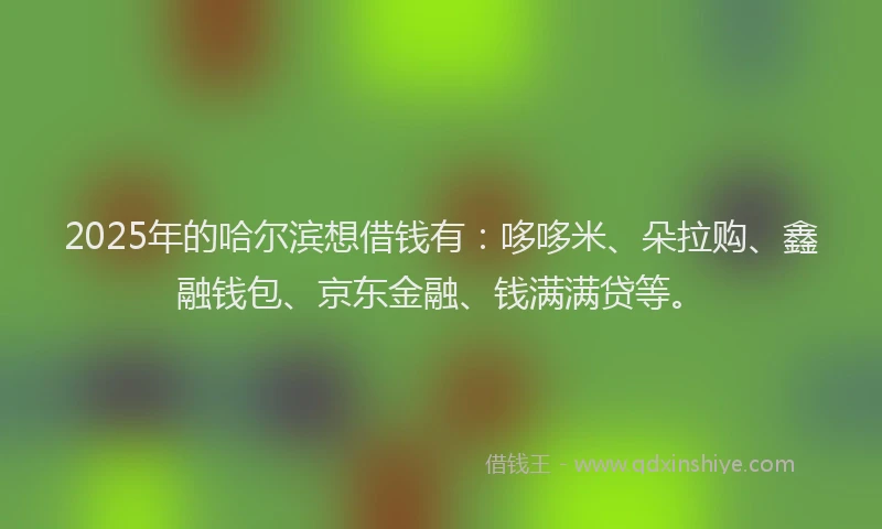 2025年的哈尔滨想借钱有：哆哆米、朵拉购、鑫融钱包、京东金融、钱满满贷等。