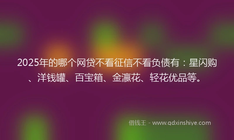 2025年的哪个网贷不看征信不看负债有：星闪购、洋钱罐、百宝箱、金瀛花、轻花优品等。