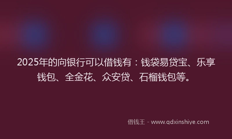 2025年的向银行可以借钱有：钱袋易贷宝、乐享钱包、全金花、众安贷、石榴钱包等。