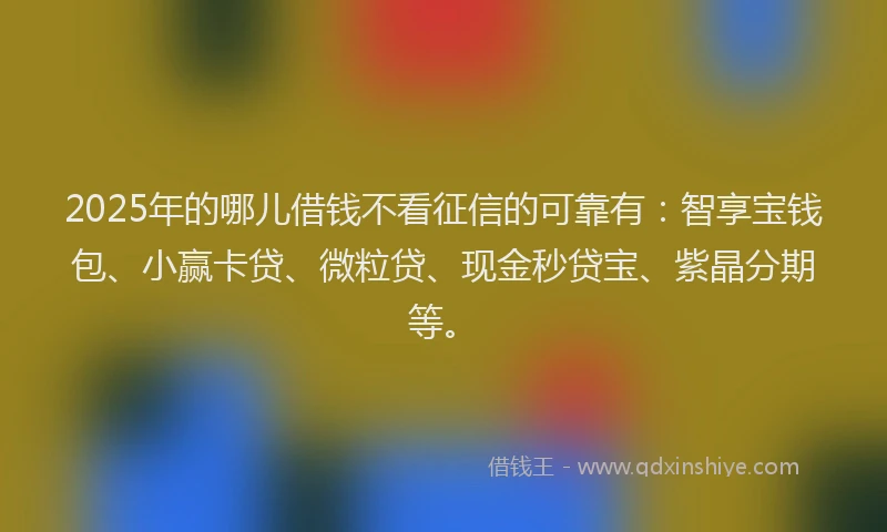 2025年的哪儿借钱不看征信的可靠有：智享宝钱包、小赢卡贷、微粒贷、现金秒贷宝、紫晶分期等。