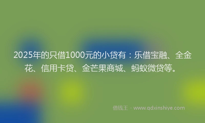 2025年的只借1000元的小贷有：乐借宝融、全金花、信用卡贷、金芒果商城、蚂蚁微贷等。