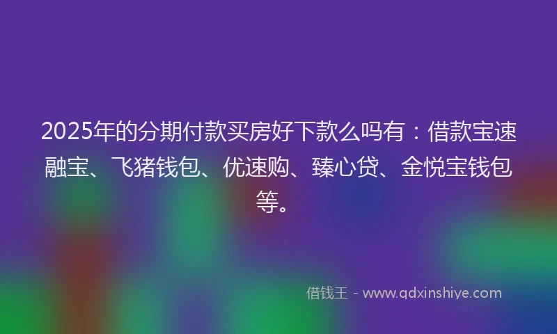 2025年的分期付款买房好下款么吗有：借款宝速融宝、飞猪钱包、优速购、臻心贷、金悦宝钱包等。