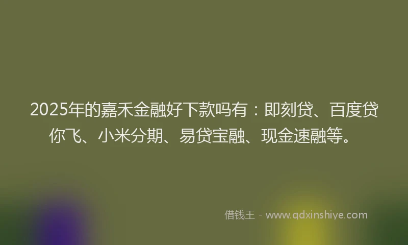 2025年的嘉禾金融好下款吗有：即刻贷、百度贷你飞、小米分期、易贷宝融、现金速融等。