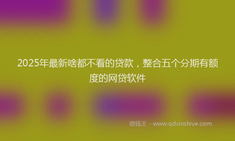 2025年最新啥都不看的贷款，整合五个分期有额度的网贷软件
