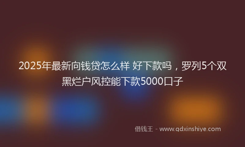 2025年最新向钱贷怎么样 好下款吗，罗列5个双黑烂户风控能下款5000口子