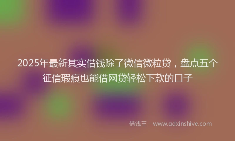 2025年最新其实借钱除了微信微粒贷，盘点五个征信瑕疵也能借网贷轻松下款的口子