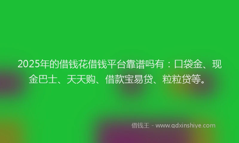 2025年的借钱花借钱平台靠谱吗有：口袋金、现金巴士、天天购、借款宝易贷、粒粒贷等。