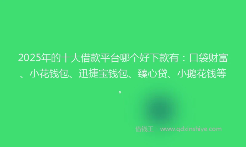 2025年的十大借款平台哪个好下款有：口袋财富、小花钱包、迅捷宝钱包、臻心贷、小鹅花钱等。