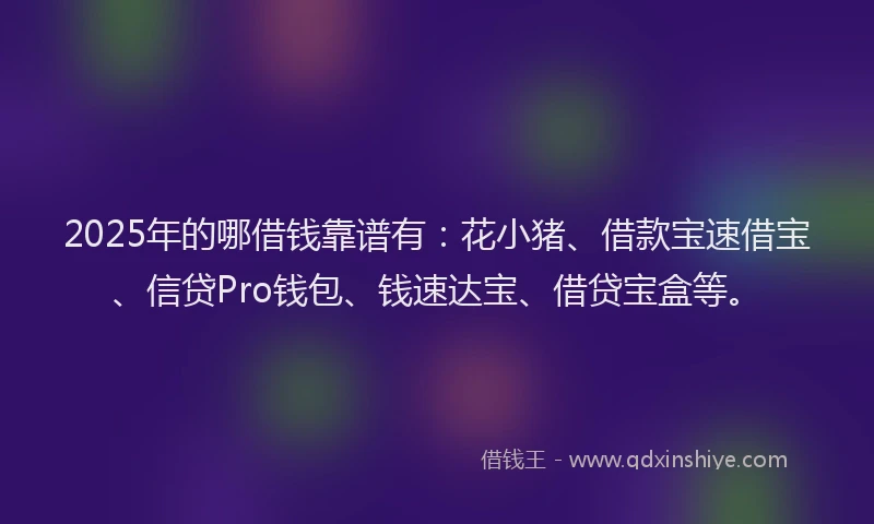 2025年的哪借钱靠谱有：花小猪、借款宝速借宝、信贷Pro钱包、钱速达宝、借贷宝盒等。