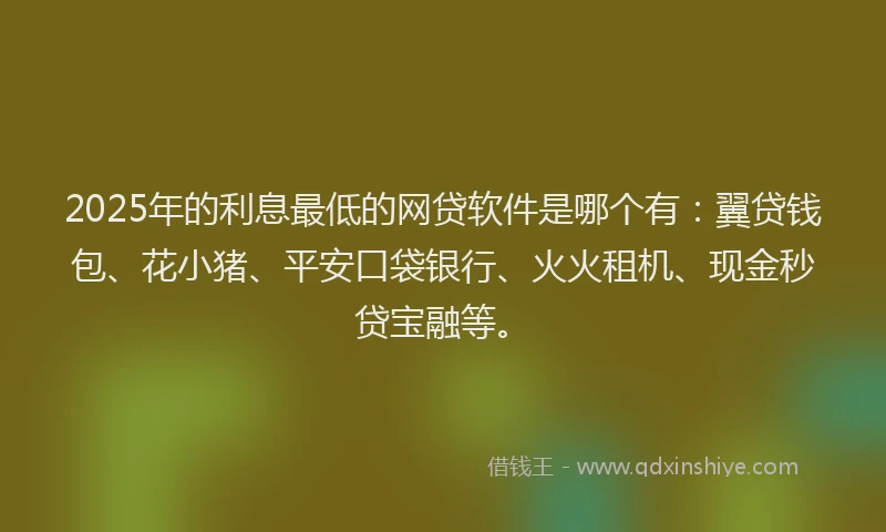 2025年的利息最低的网贷软件是哪个有：翼贷钱包、花小猪、平安口袋银行、火火租机、现金秒贷宝融等。