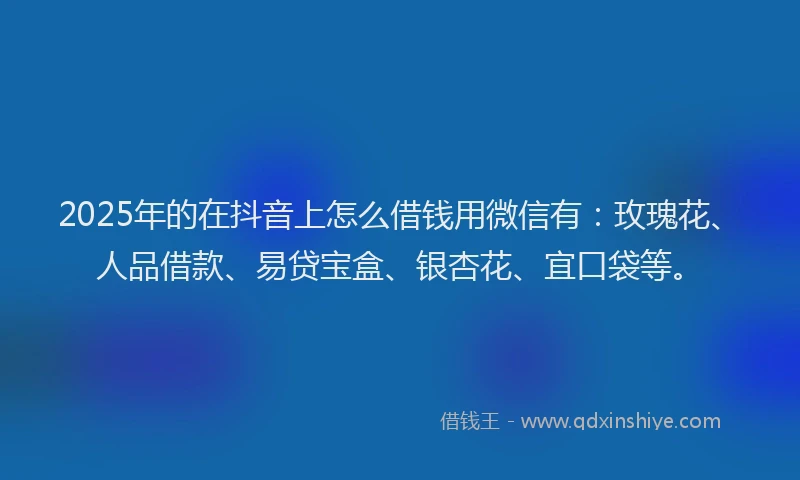2025年的在抖音上怎么借钱用微信有：玫瑰花、人品借款、易贷宝盒、银杏花、宜口袋等。
