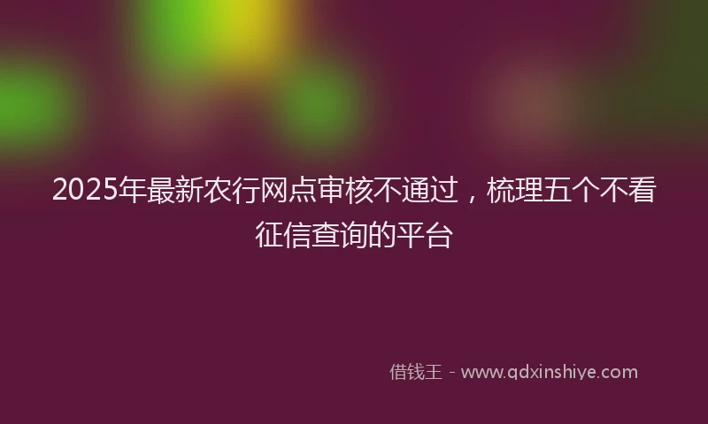 2025年最新农行网点审核不通过，梳理五个不看征信查询的平台