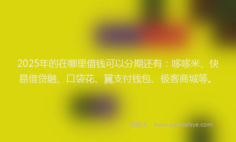 2025年的在哪里借钱可以分期还有：哆哆米、快易借贷融、口袋花、翼支付钱包、极客商城等。