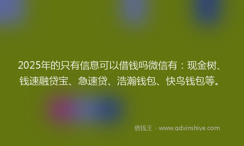 2025年的只有信息可以借钱吗微信有：现金树、钱速融贷宝、急速贷、浩瀚钱包、快鸟钱包等。