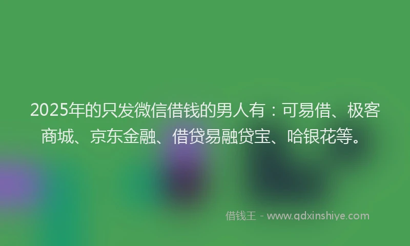 2025年的只发微信借钱的男人有：可易借、极客商城、京东金融、借贷易融贷宝、哈银花等。