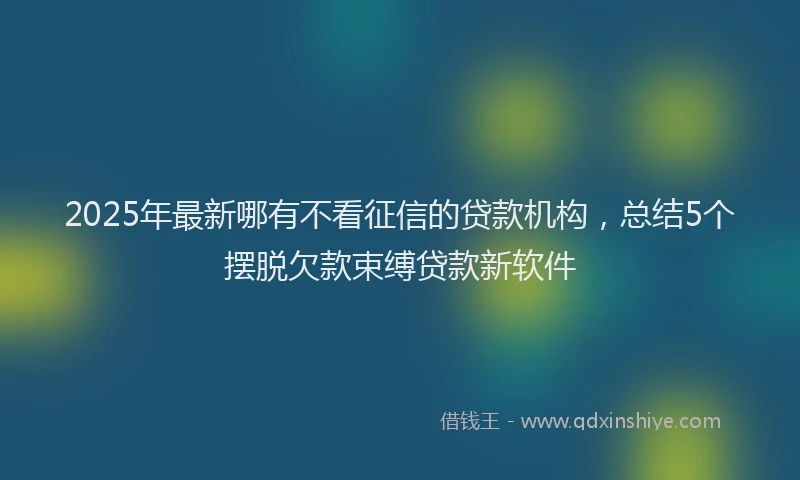 2025年最新哪有不看征信的贷款机构，总结5个摆脱欠款束缚贷款新软件
