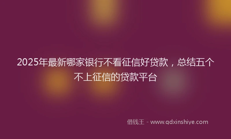 2025年最新哪家银行不看征信好贷款，总结五个不上征信的贷款平台