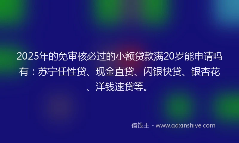 2025年的免审核必过的小额贷款满20岁能申请吗有：苏宁任性贷、现金直贷、闪银快贷、银杏花、洋钱速贷等。